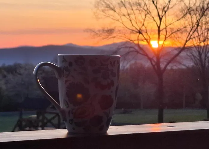 Szychow Z Widokiem *