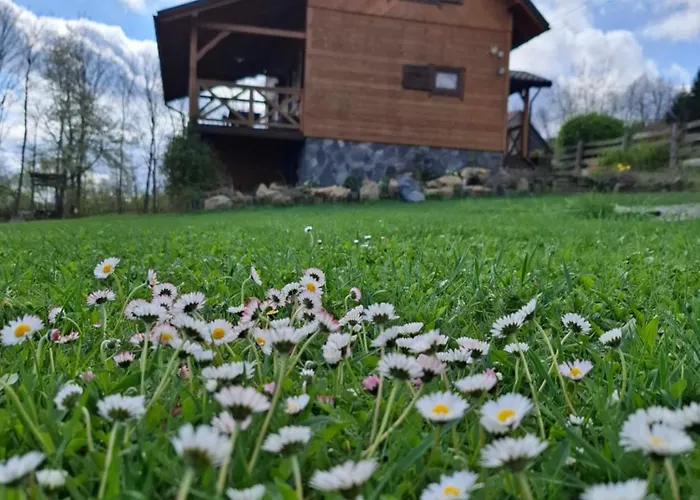 Szychow Z Widokiem *